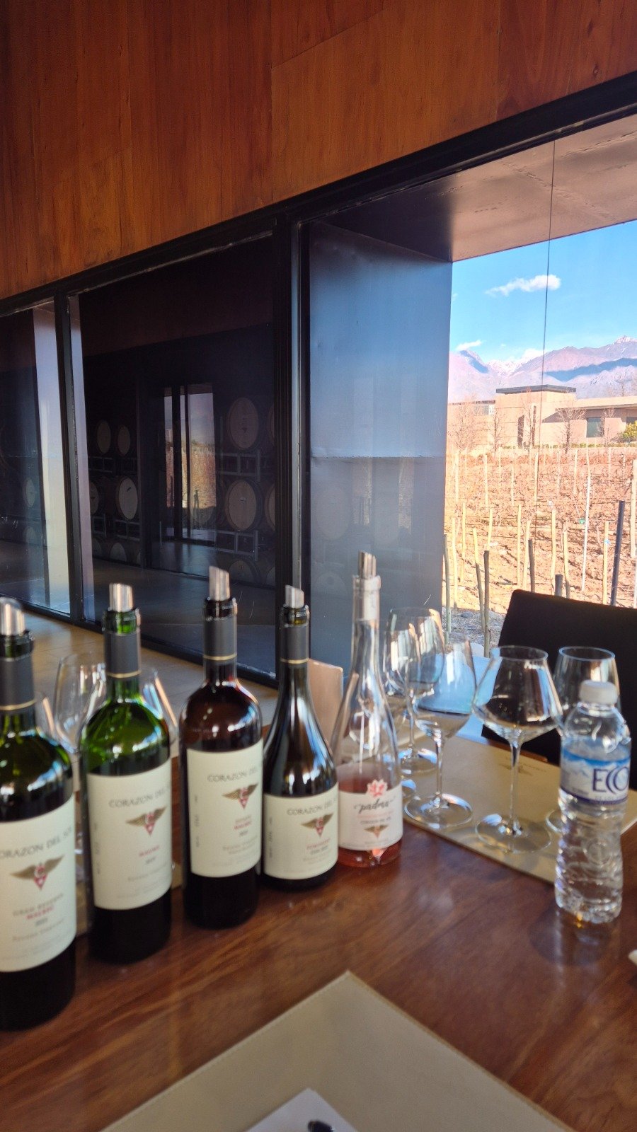WhatsApp Image 2026-09-02 at 15.11.55 (1)